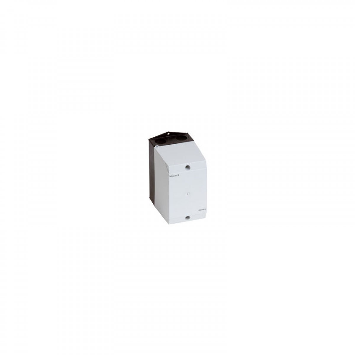 Termostatas Viessmann ZK04647 Termostatas Viessmann ZK04647